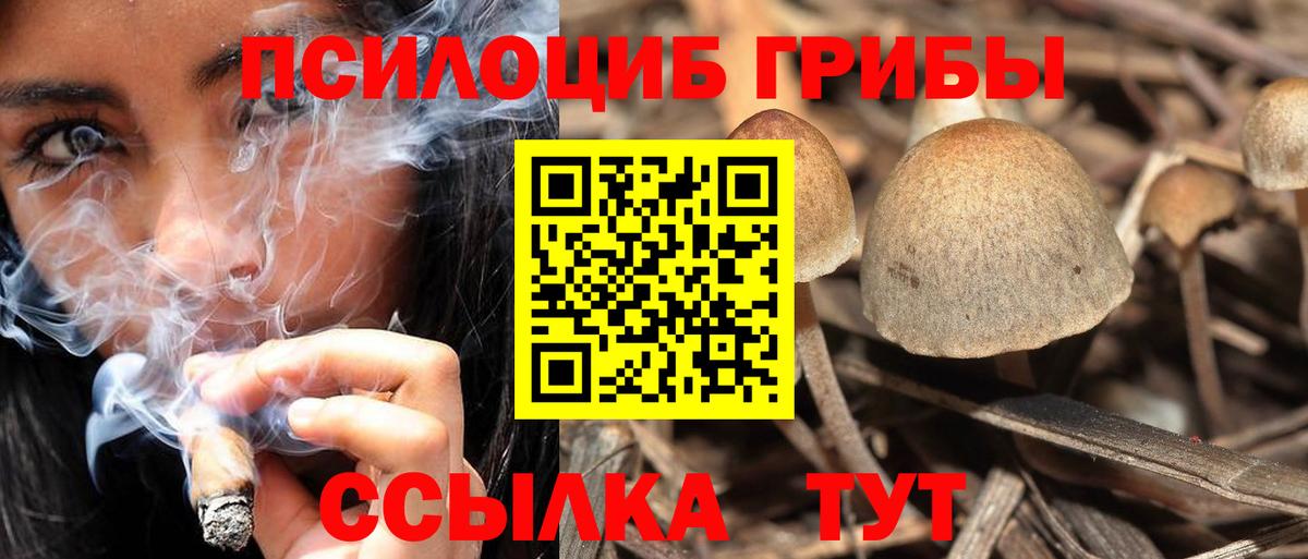 Псилоцибиновые грибы мухоморы Серпухов